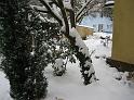 schnee2010 004